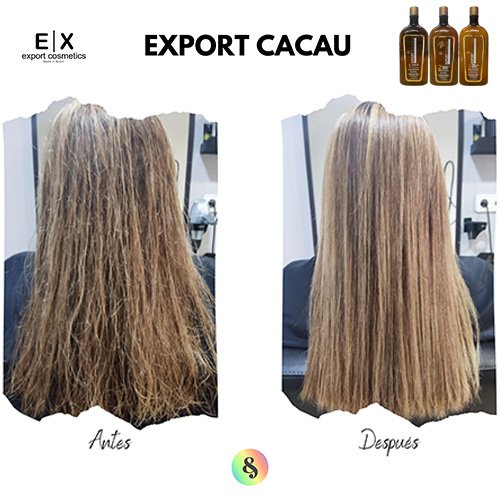 Kit Alisado de Keratina Export Cacau 3x1L