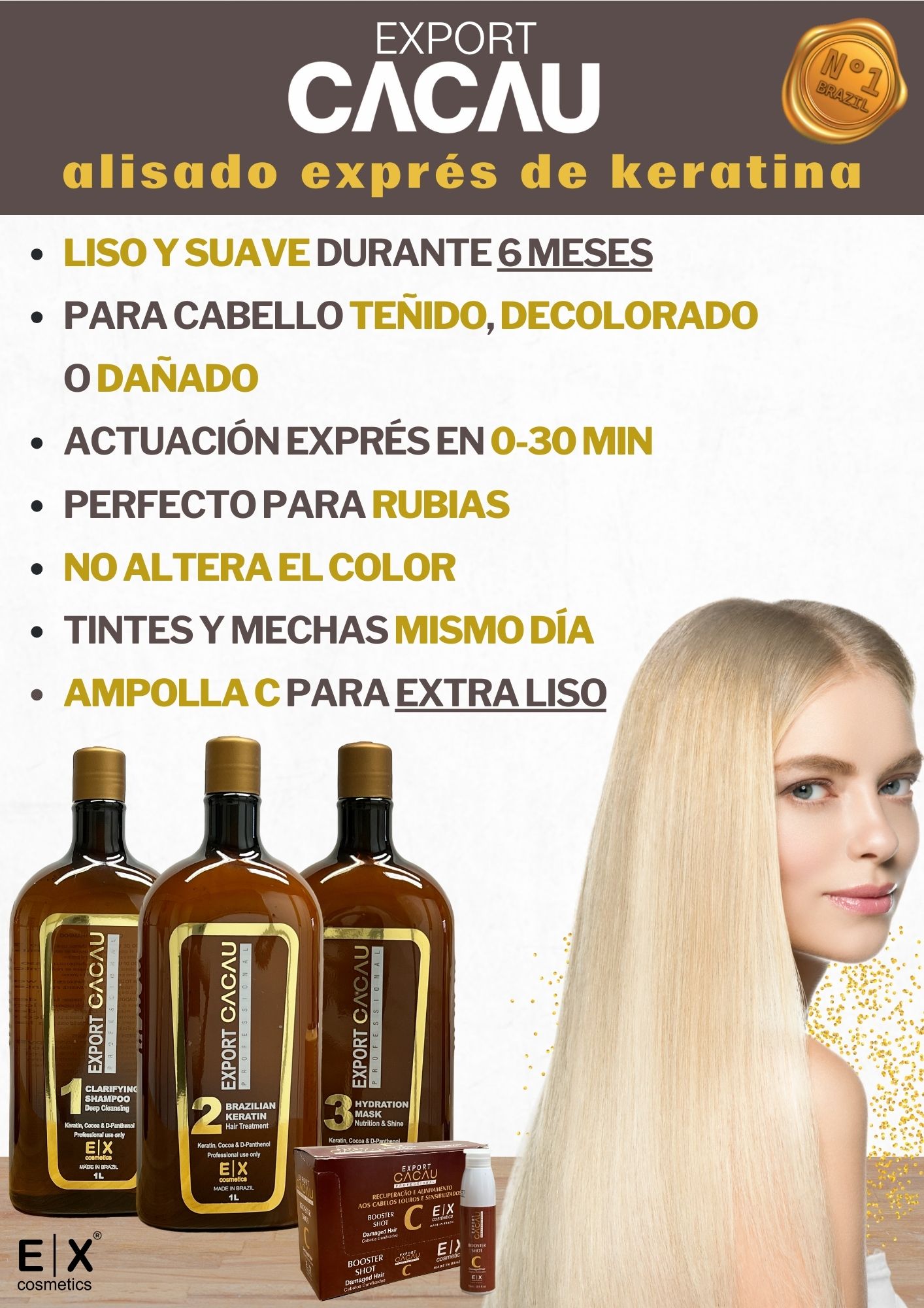 Kit Alisado de Keratina Export Cacau 3x1L